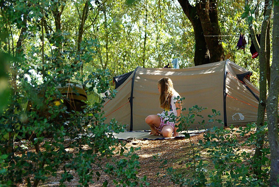 Camping Paradis des Pins-Soulac