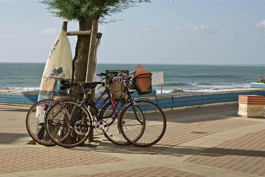 Camping Paradis des Pins-Soulac