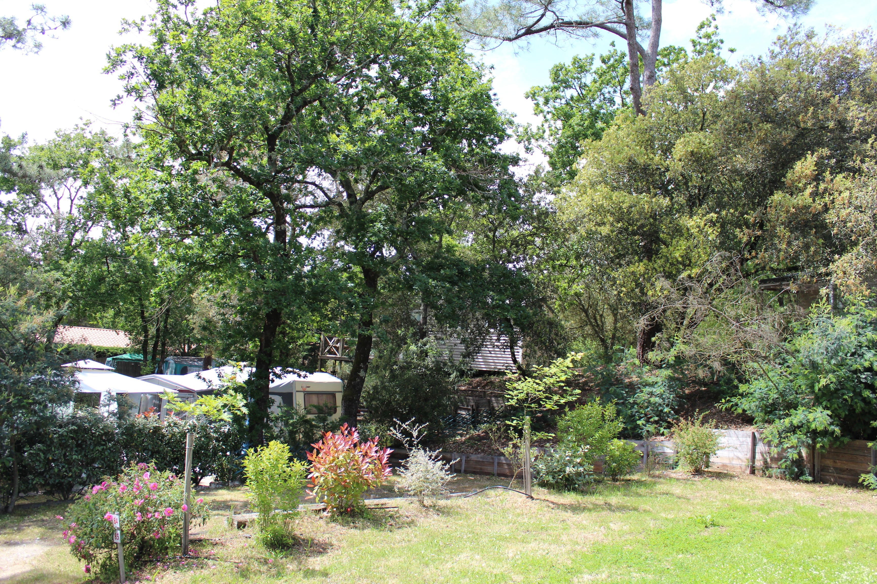 Camping Paradis des Pins-Soulac