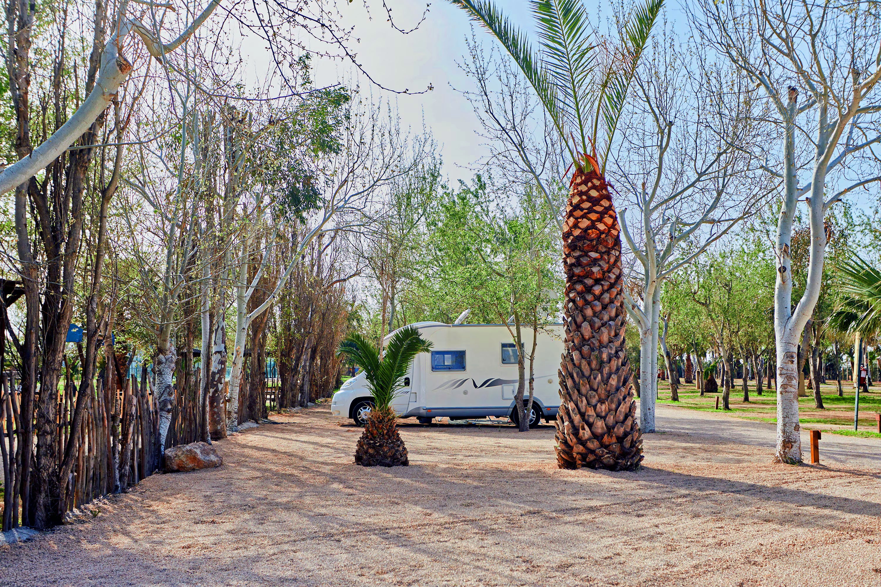 TAIGA Delta de l'Ebre