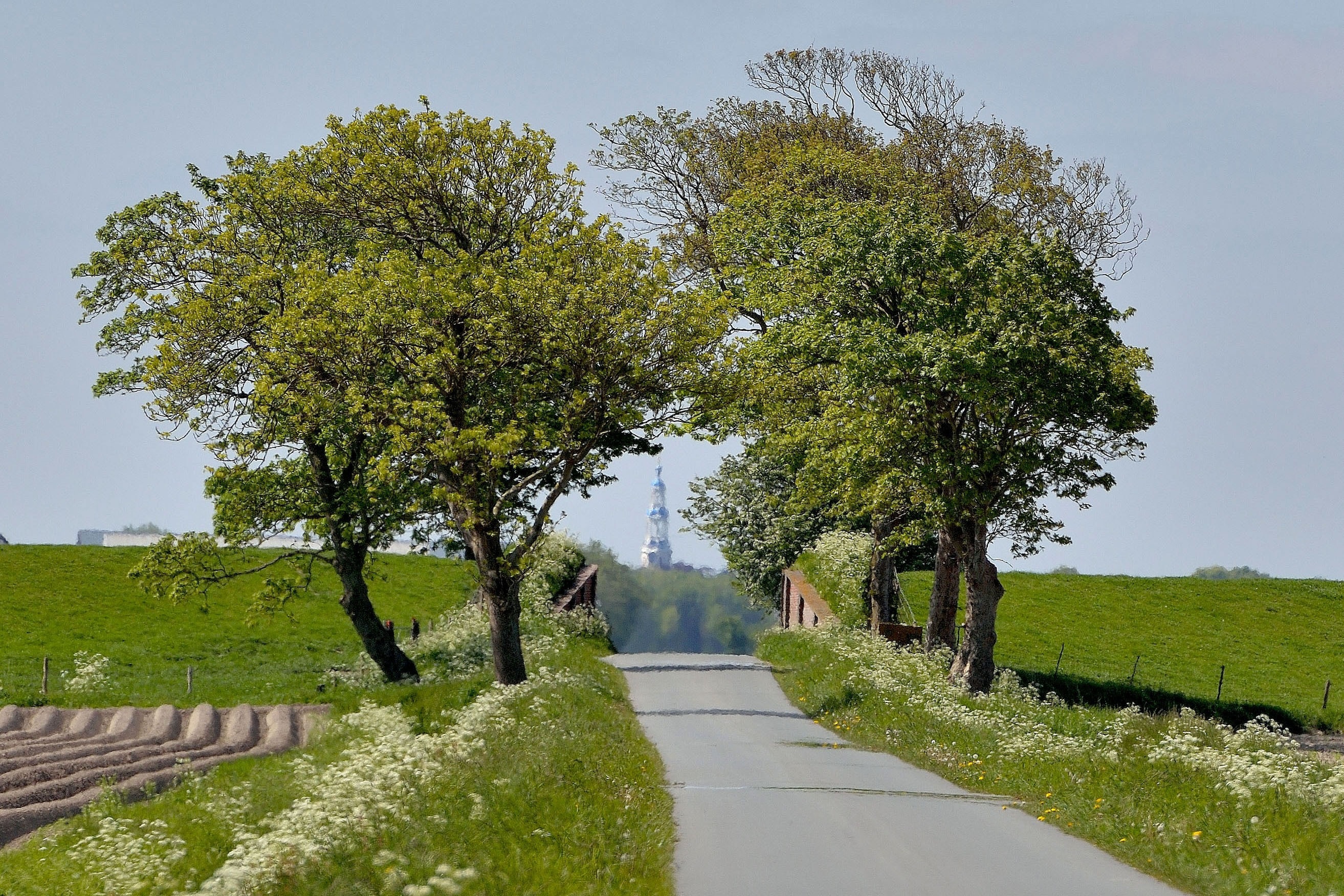 Camping Lentemaheerd