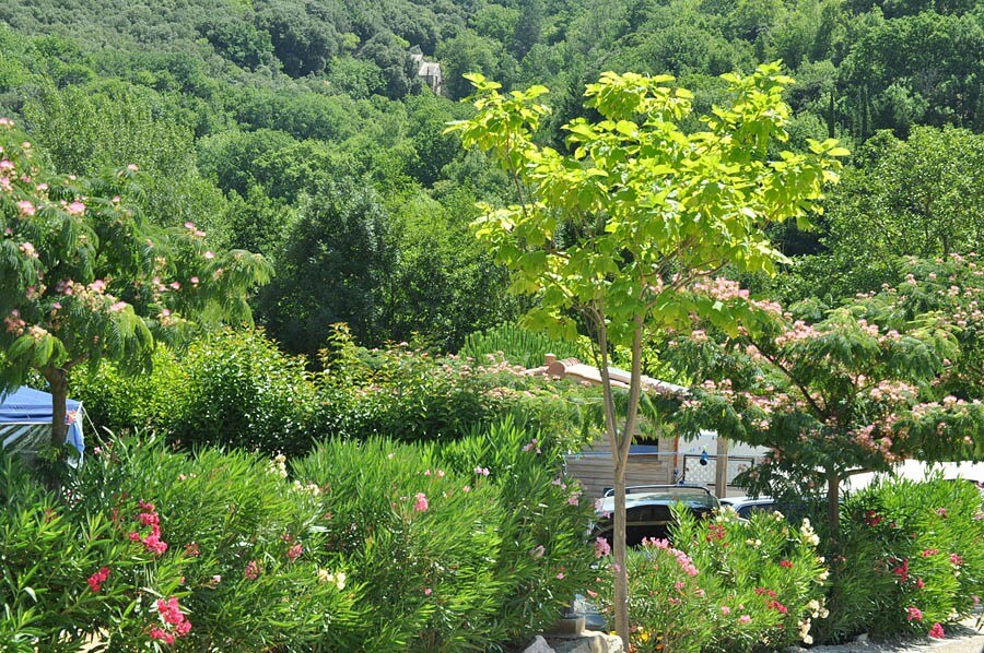 Camping Les Cerisiers du Jaur