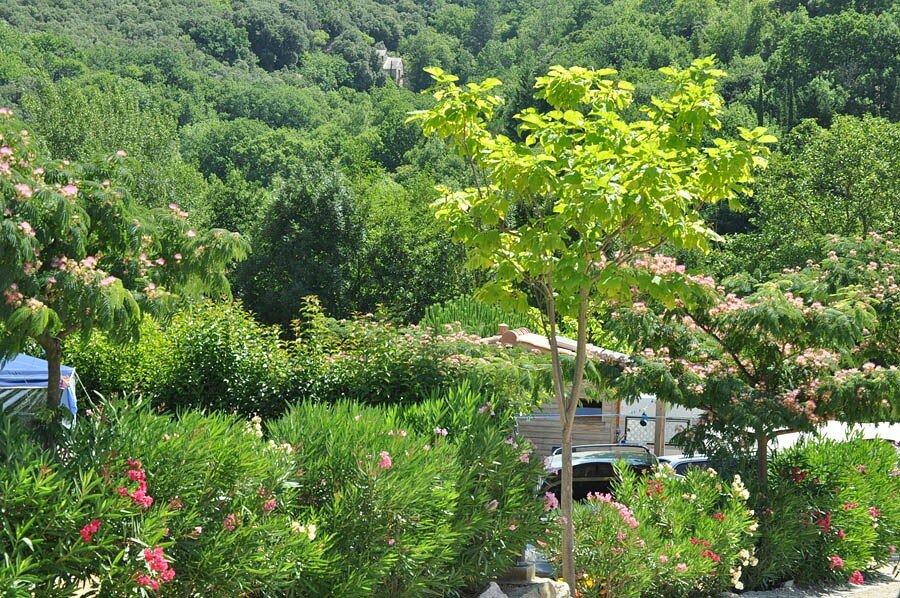 Camping Les Cerisiers du Jaur