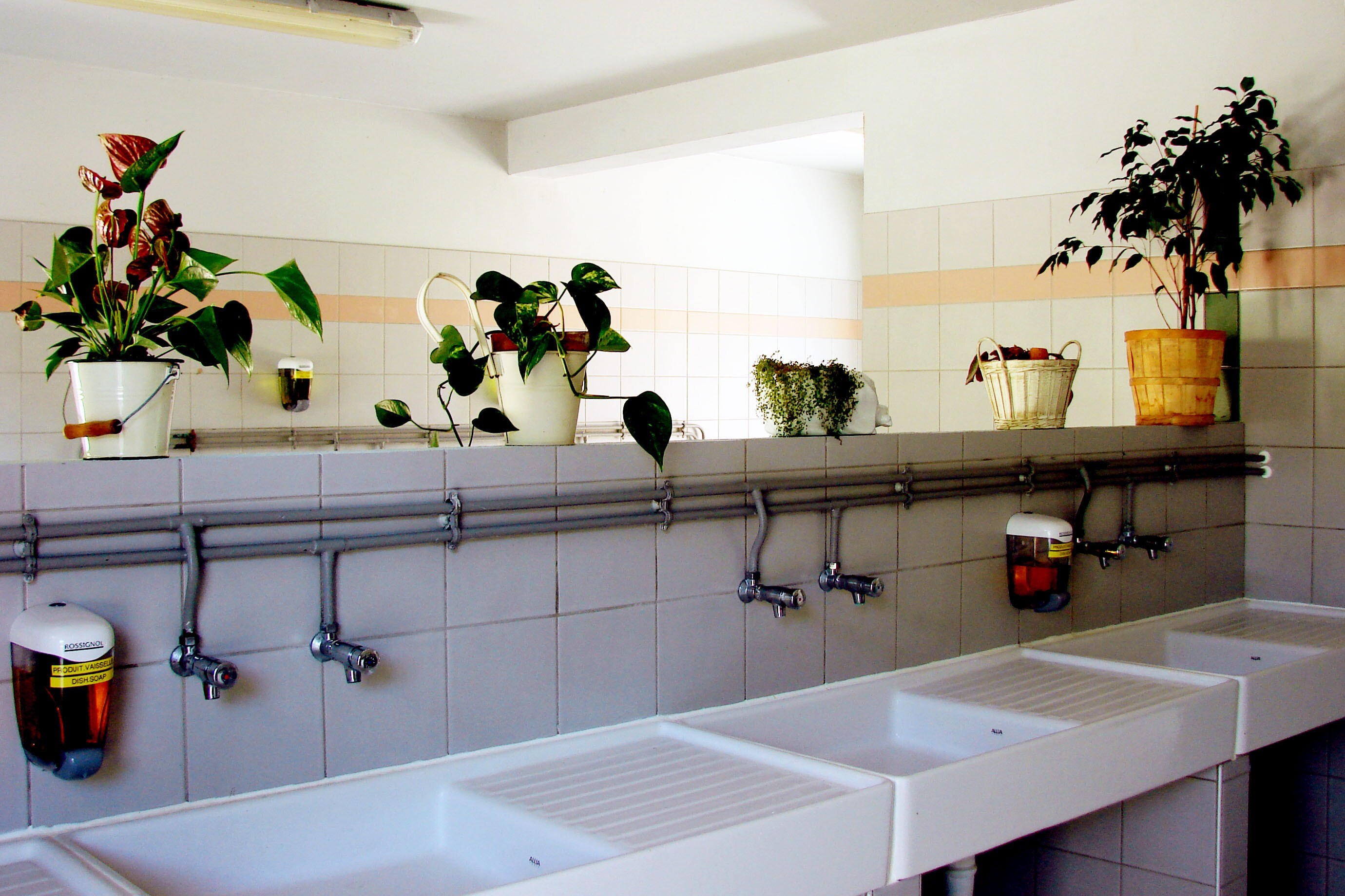 Camping La Fritillaire