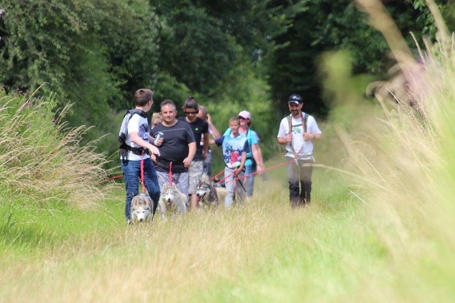 Camping Les Grésillons
