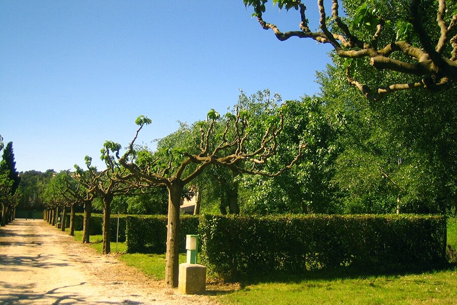 Camping Beau Séjour