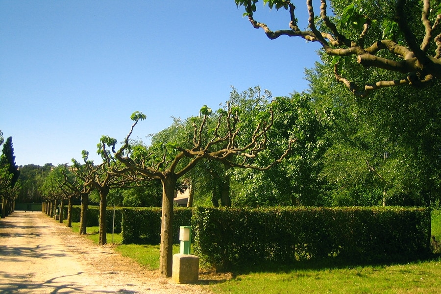 Camping Beau Séjour