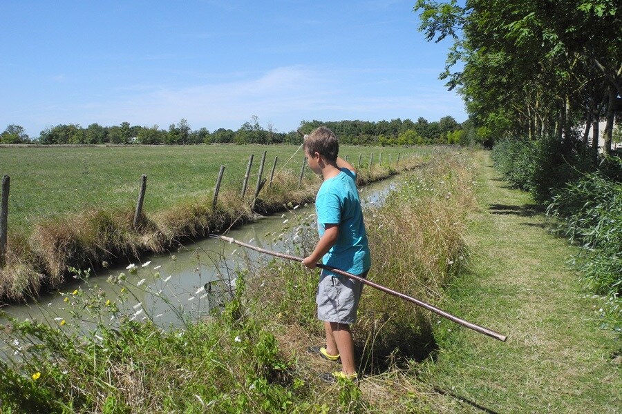 Camping L'Île Cariot