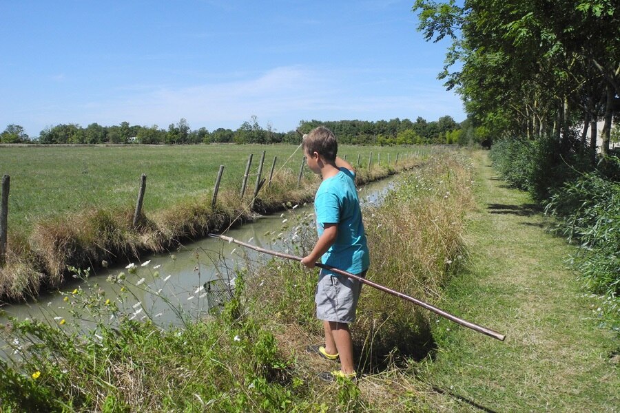 Camping L'Île Cariot
