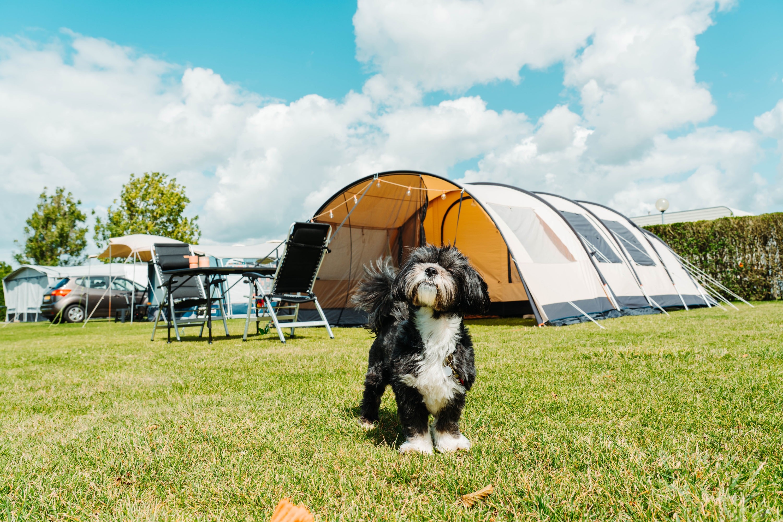 Camping Den Molinshoeve