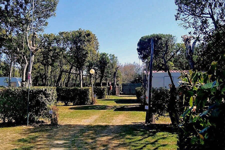 Camping Bocca di Cecina