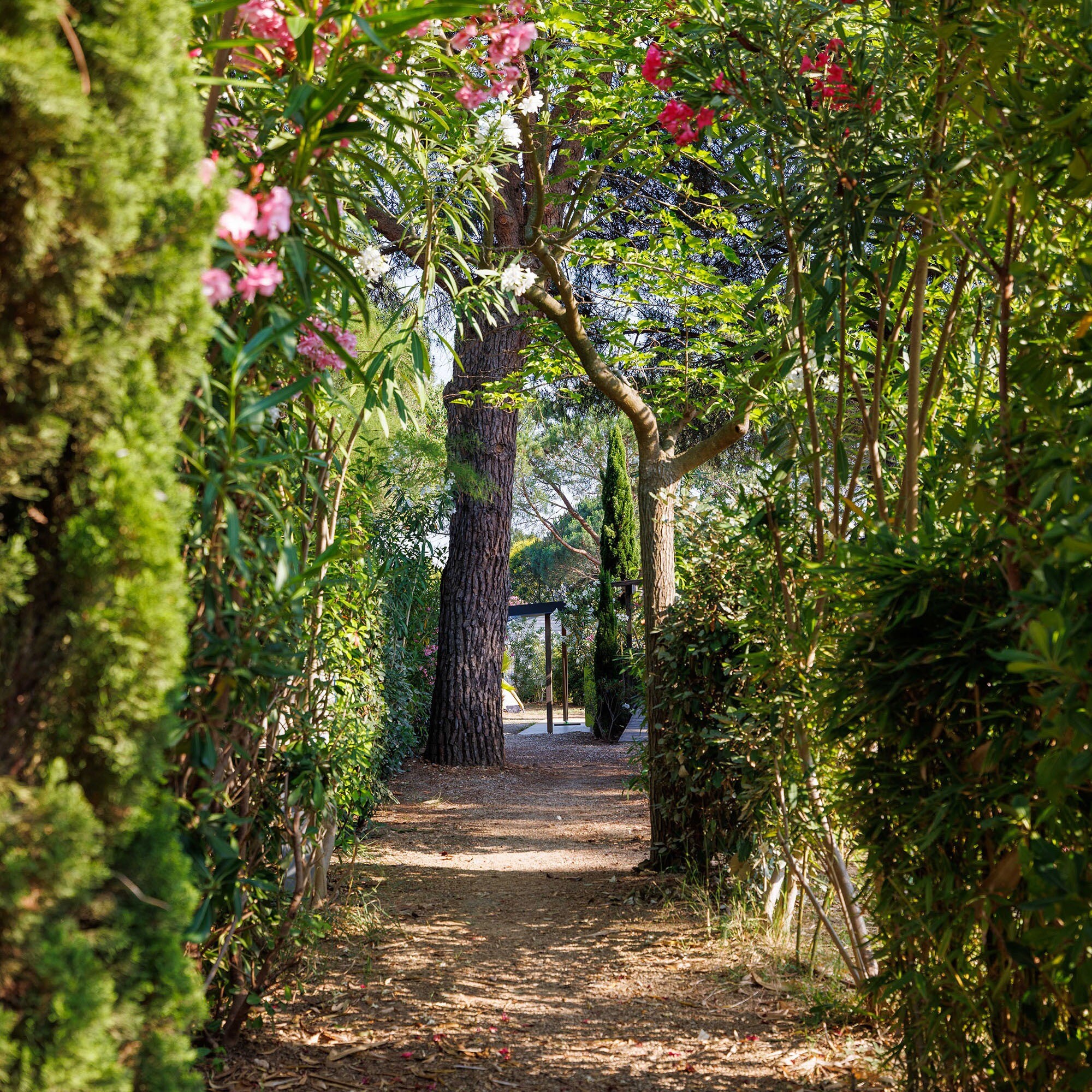 Flower Camping Le Mas de Mourgues