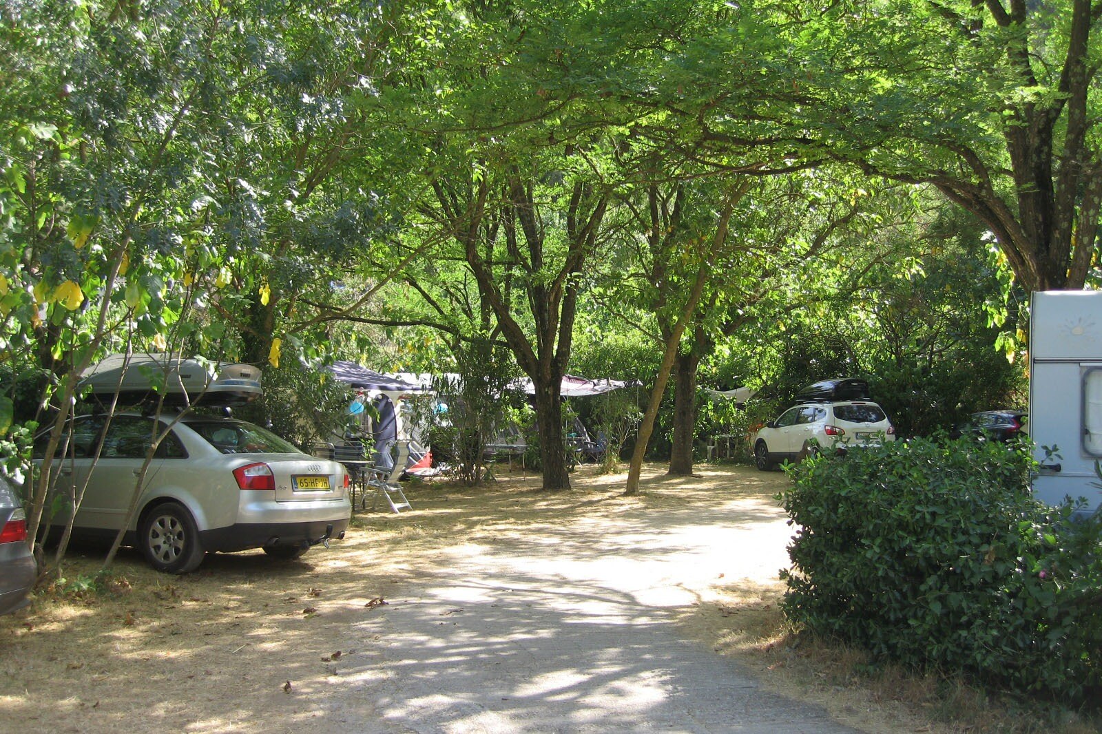 Flower Camping Les Tomasses