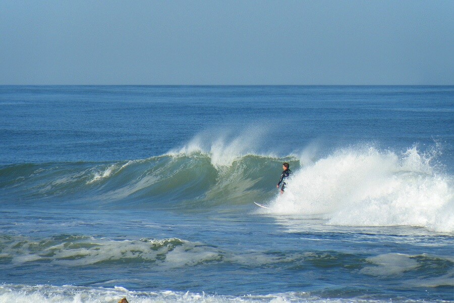 Camping Le Petit Dauphin