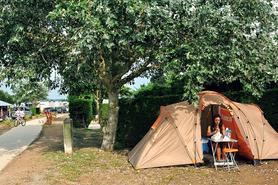 Flower Camping Les Ilates