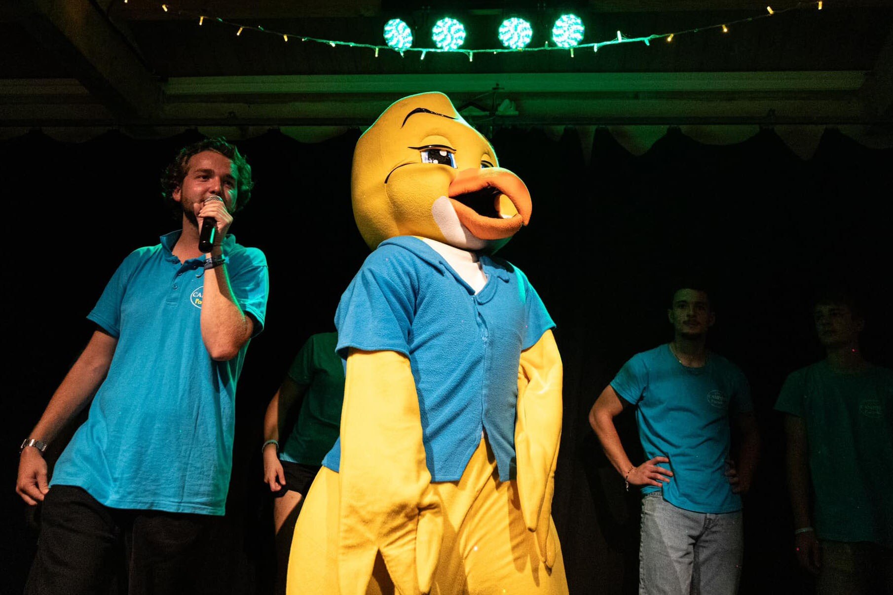 Camping Paradis La Cailletière