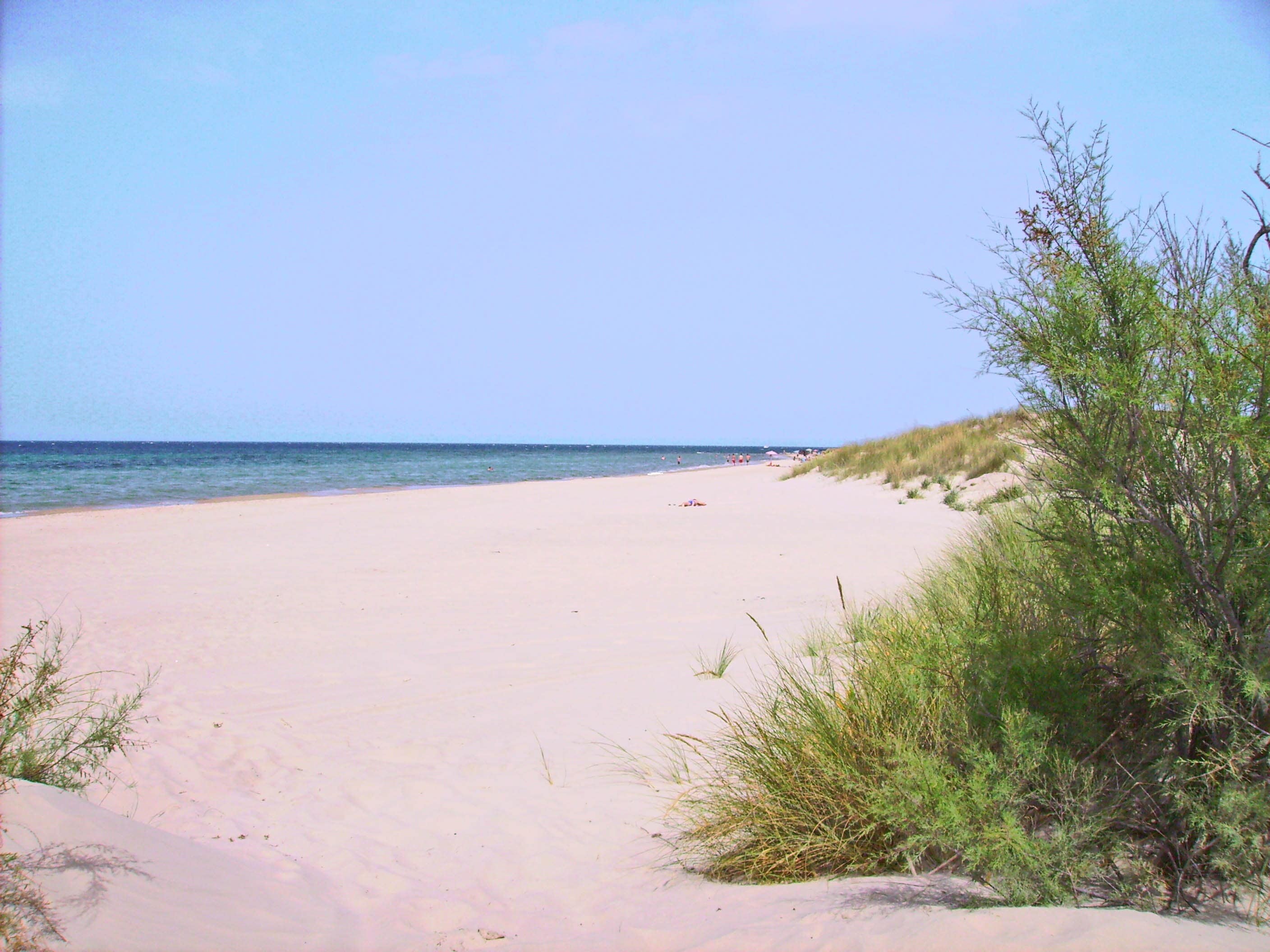 Torre Rinalda Beach Camping & Resort