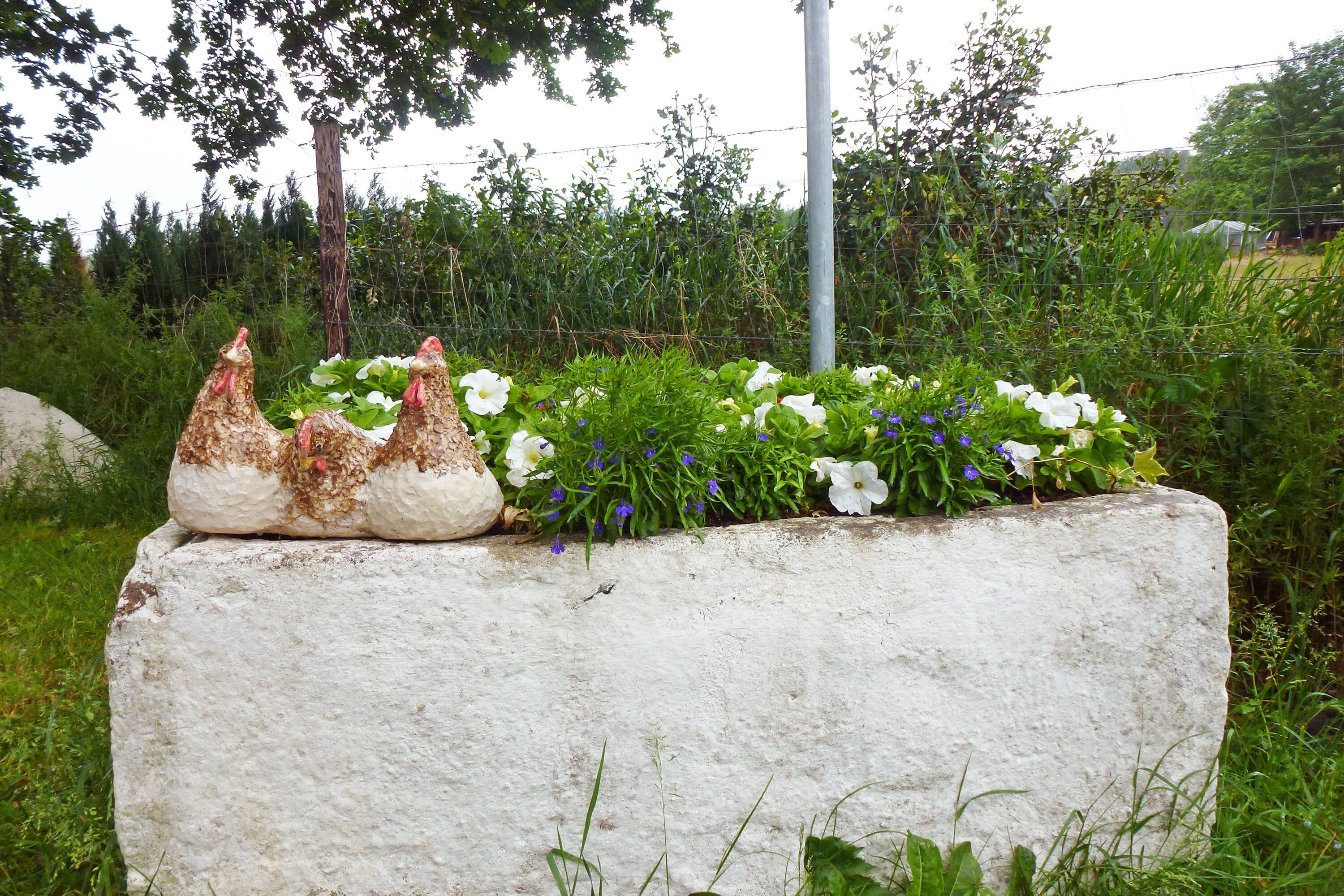 Camping Erfgoed de Boemerang