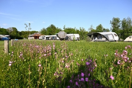 Camping Dal van de Mosbeek