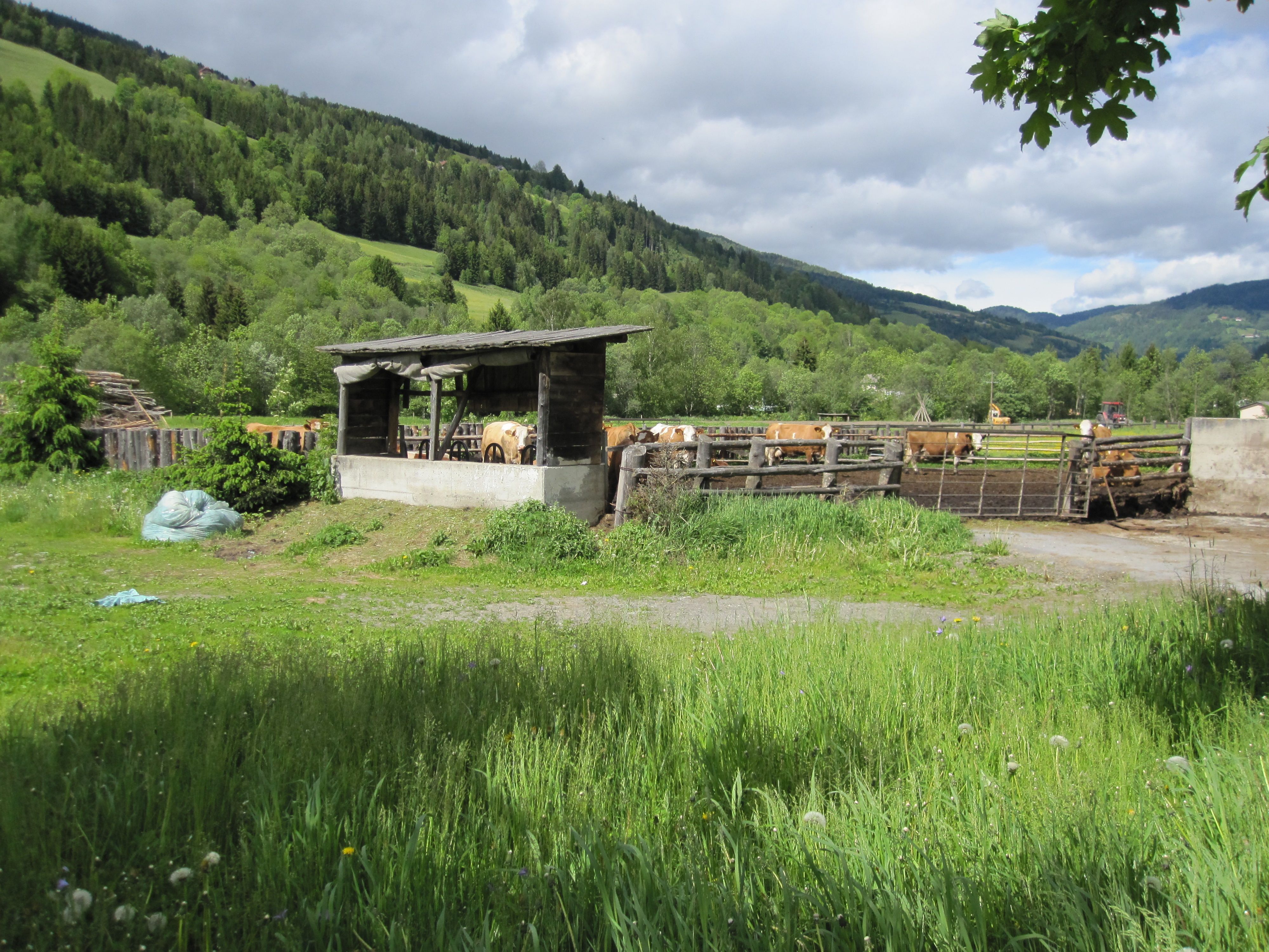 Camping da' Bräuhauser