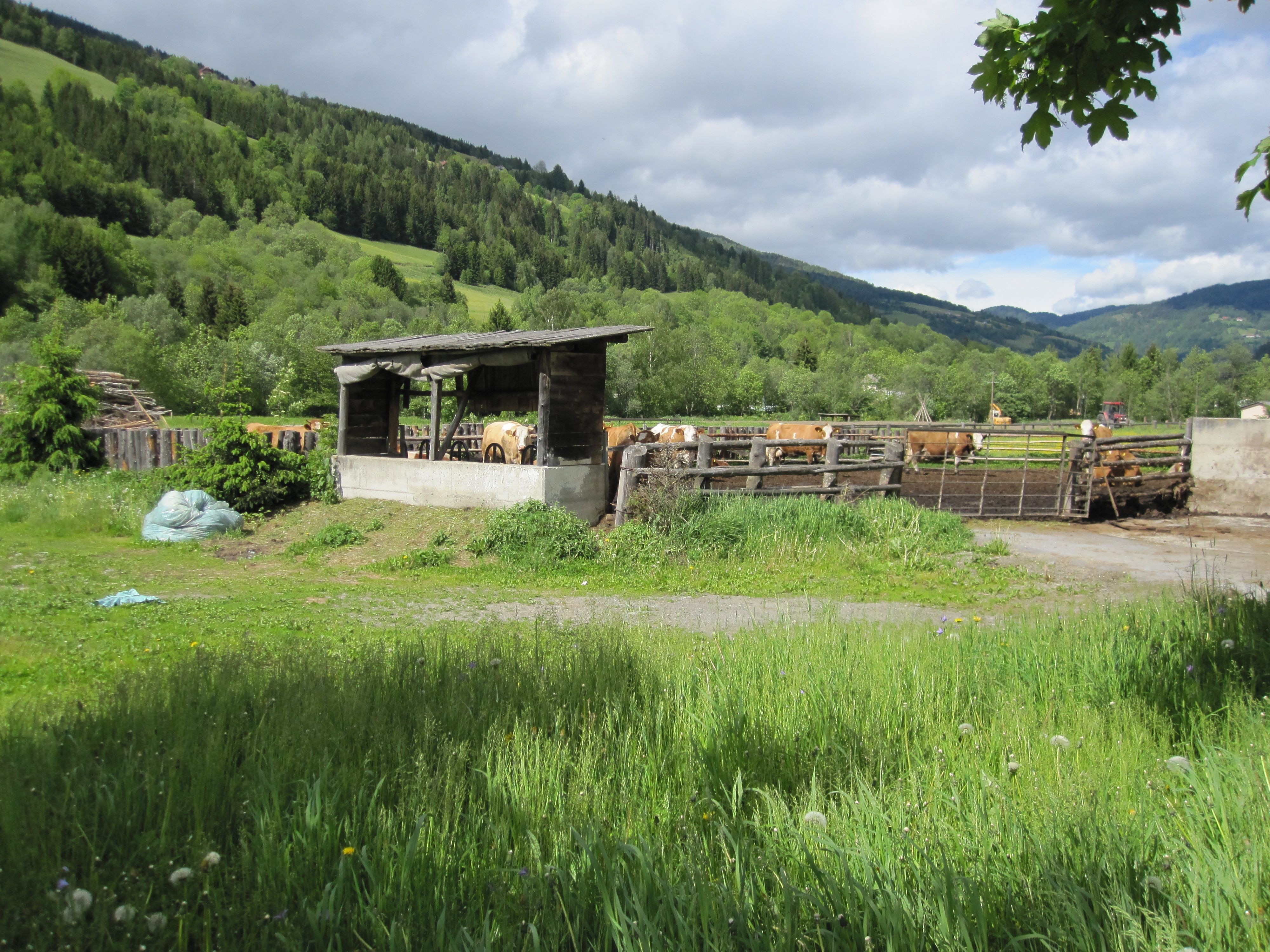 Camping da' Bräuhauser