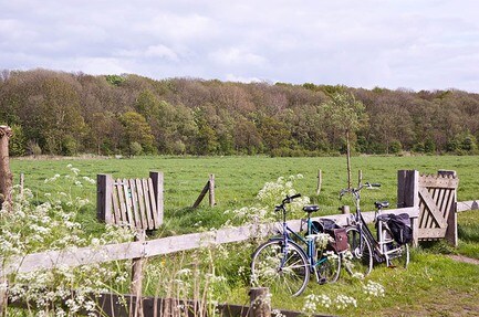 Minicamping Pitteperk