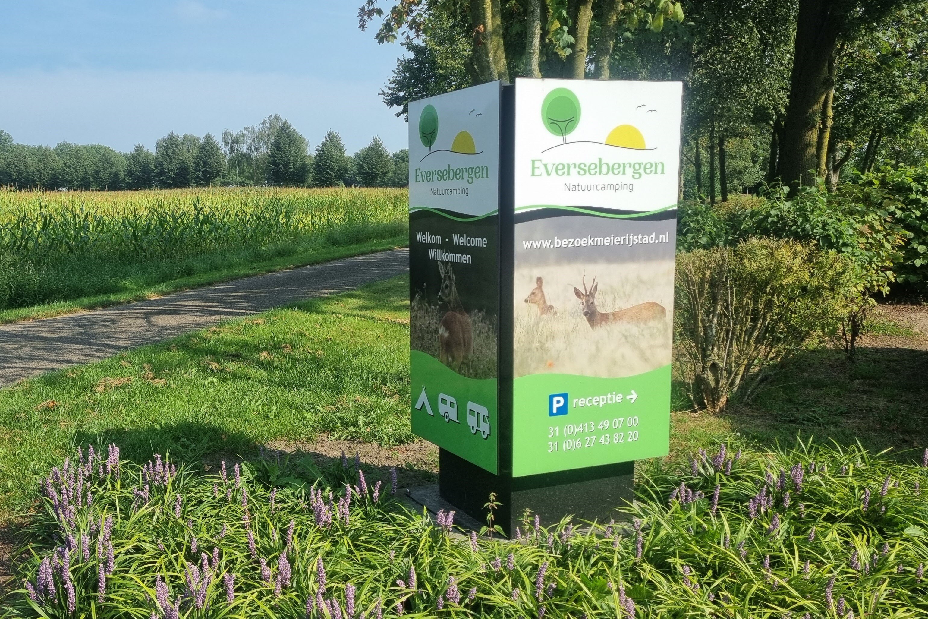 Natuurcamping Eversebergen