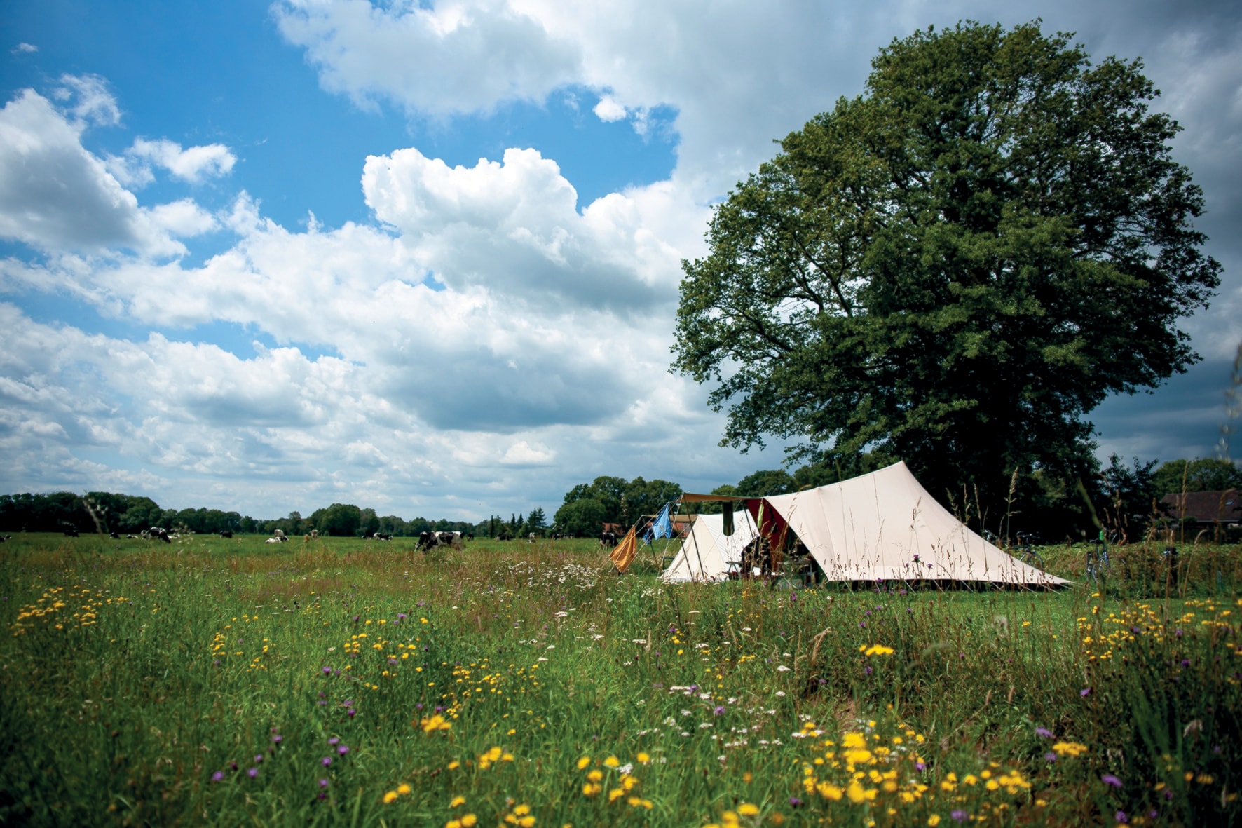 Poelhuis Landgoedcamping