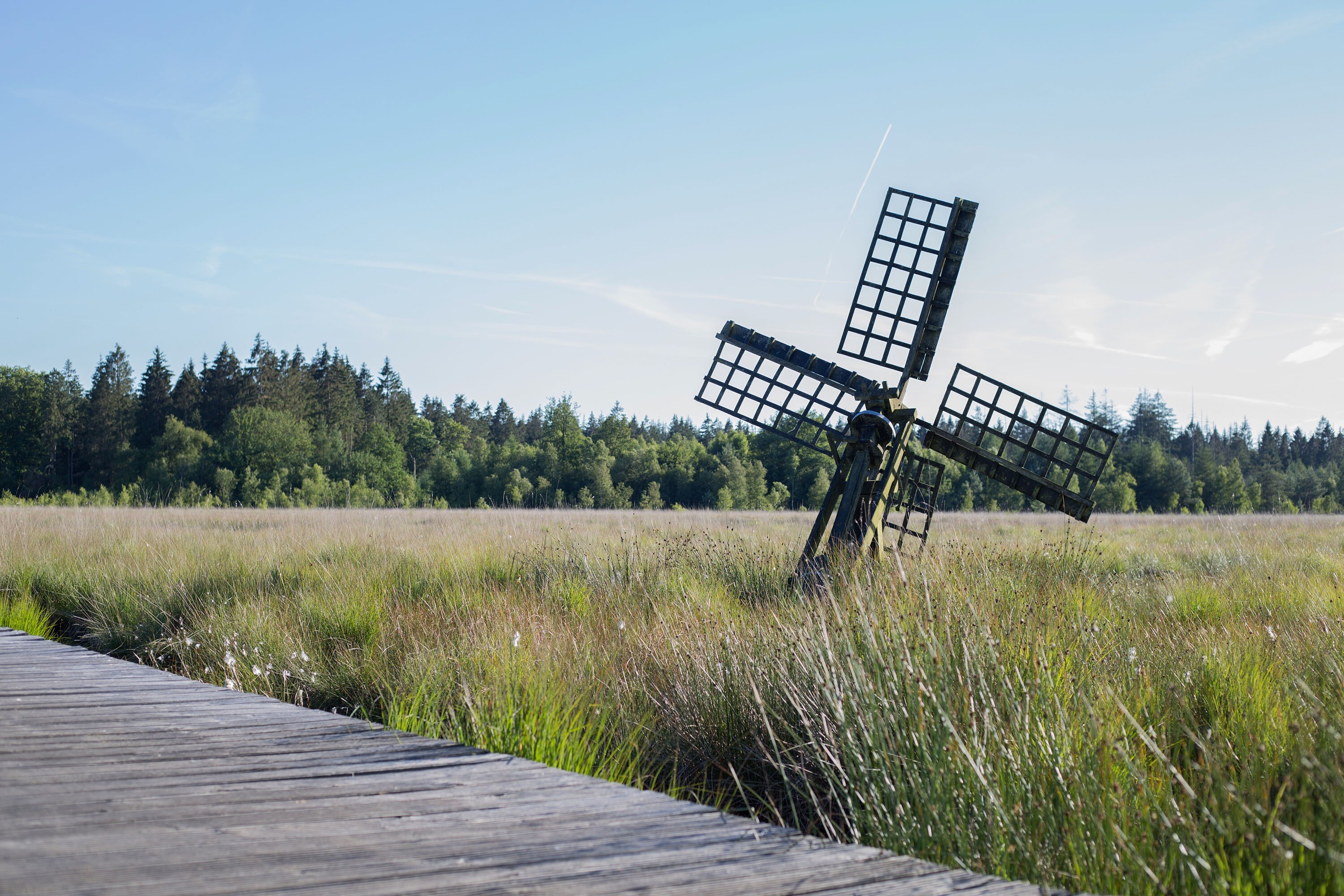 Camping Roeloomskamp