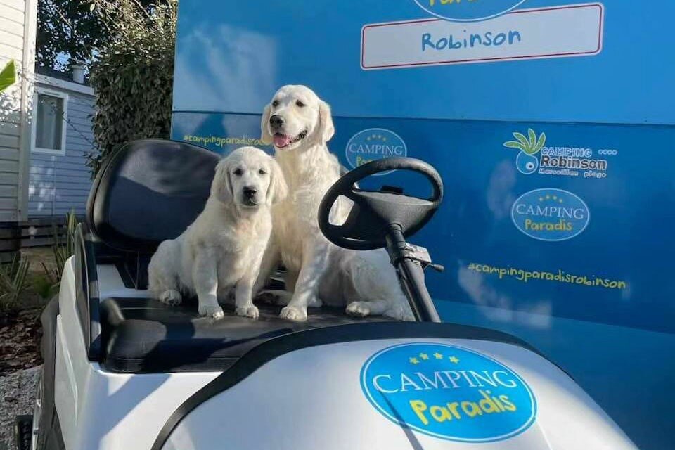 Camping Paradis Robinson