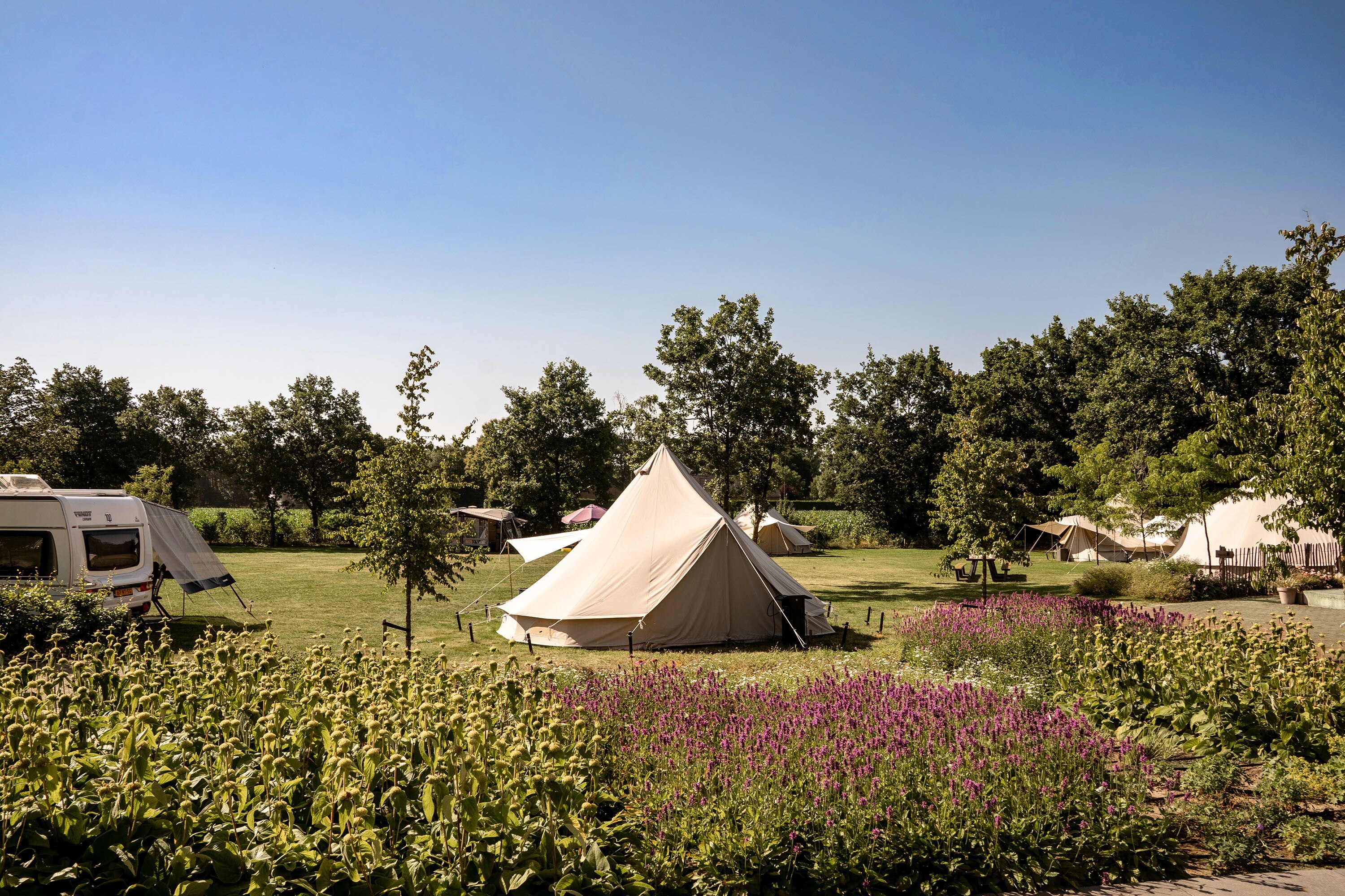 Camping Verblijf bij Hygge