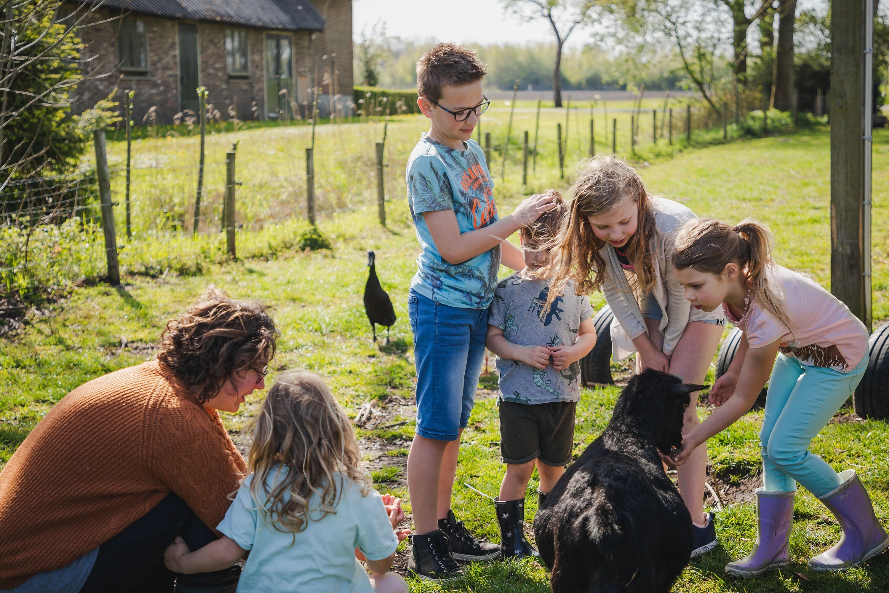 Vakantiepark De Toffe Peer