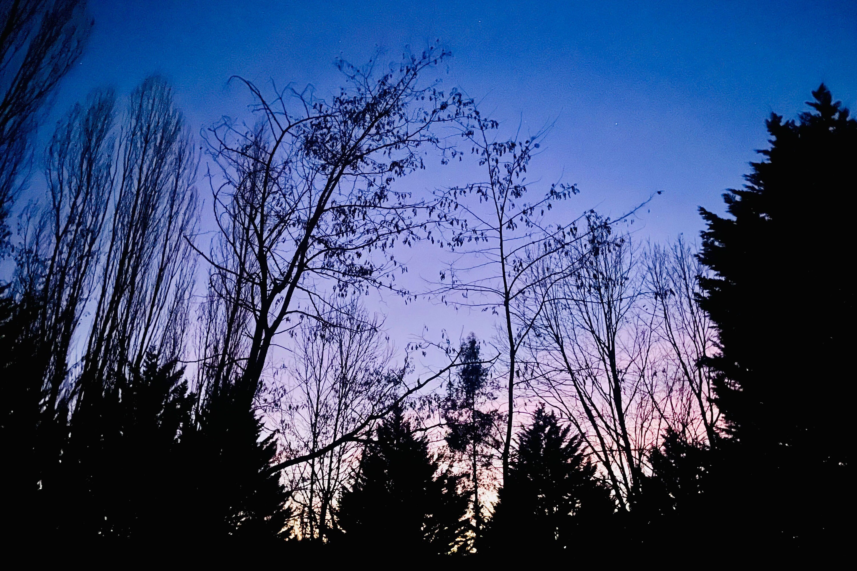 Flower Camping La Pibola