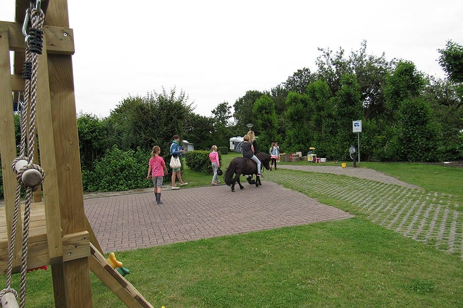 Minicamping Hoekvliet