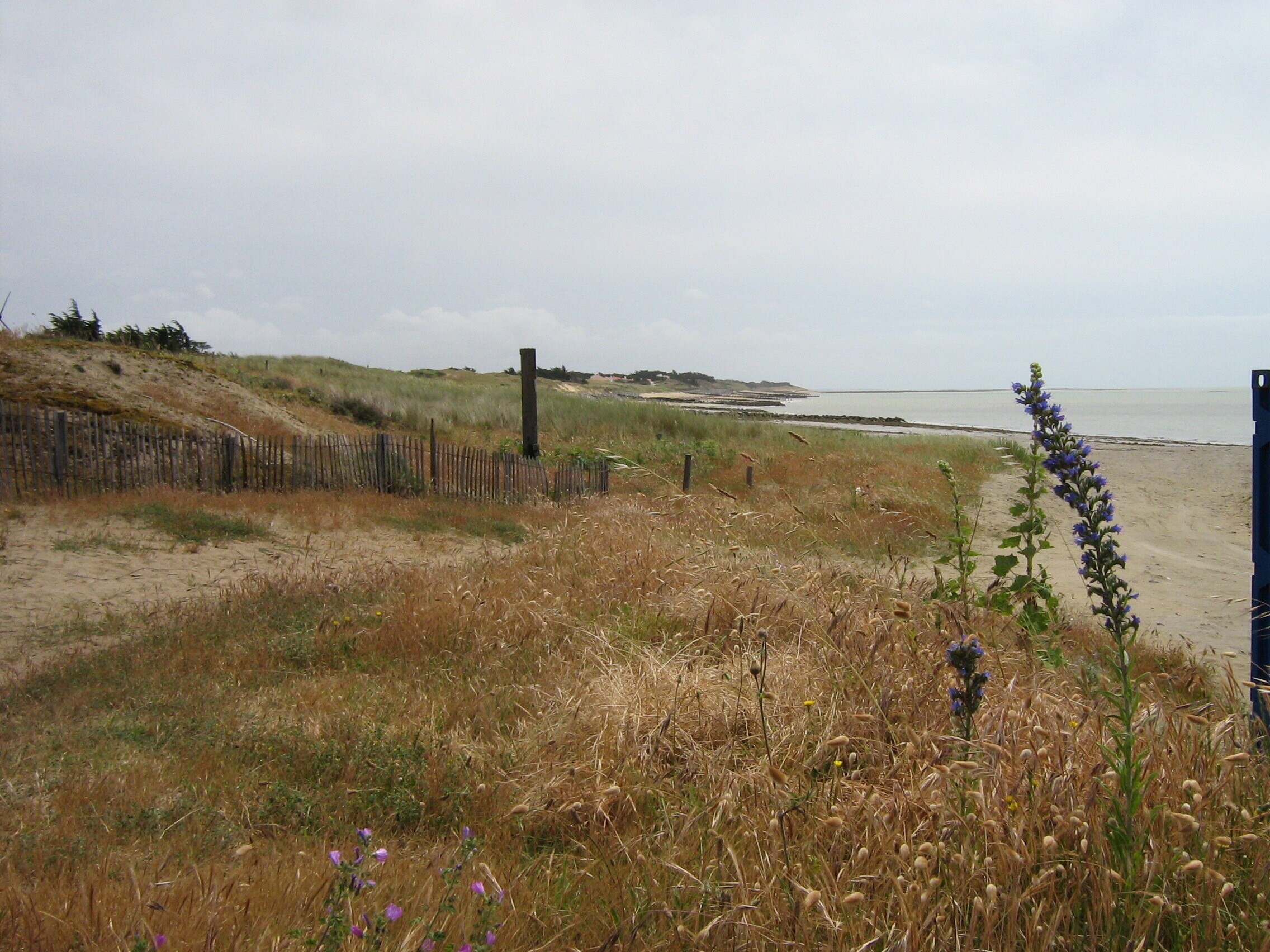 Camping Sandaya la Bosse