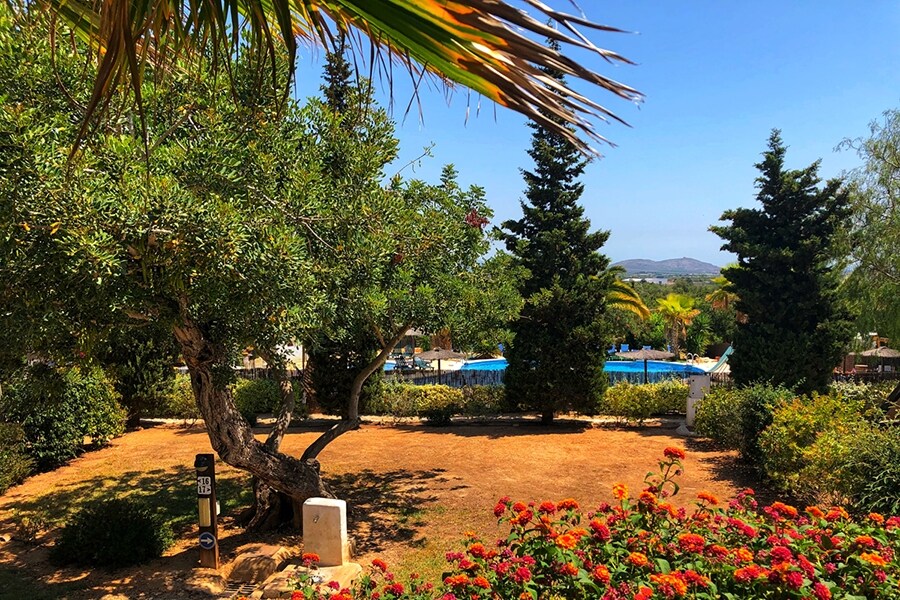 Camping Paradis L'Orangeraie