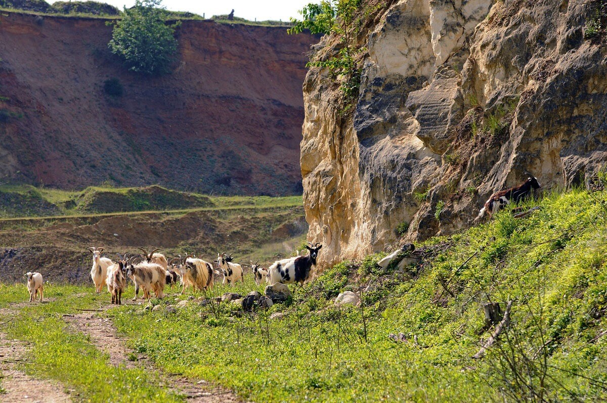 Ardoer Camping 't Geuldal