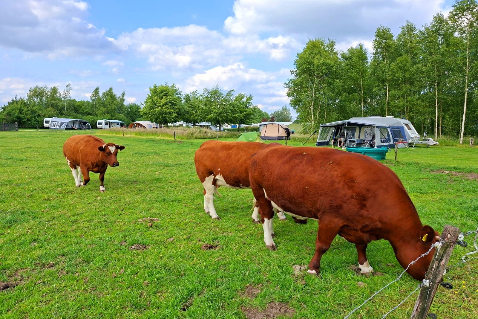 Kampeerhoeve Bussloo