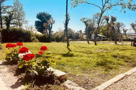 Camping Torre Mucchia