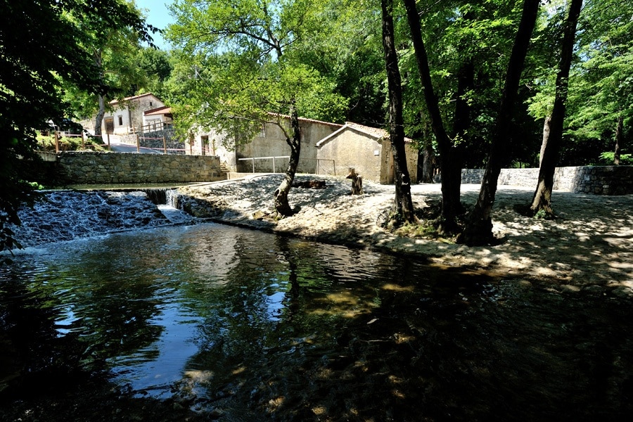 Kamp Dujceva Domacija