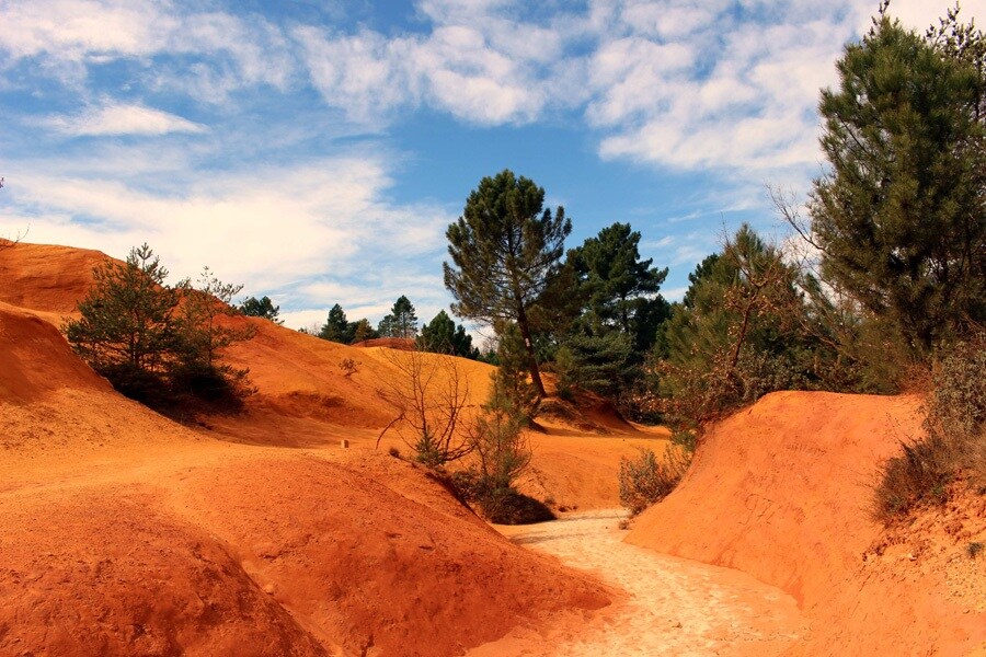 Flower Camping Provence Vallée