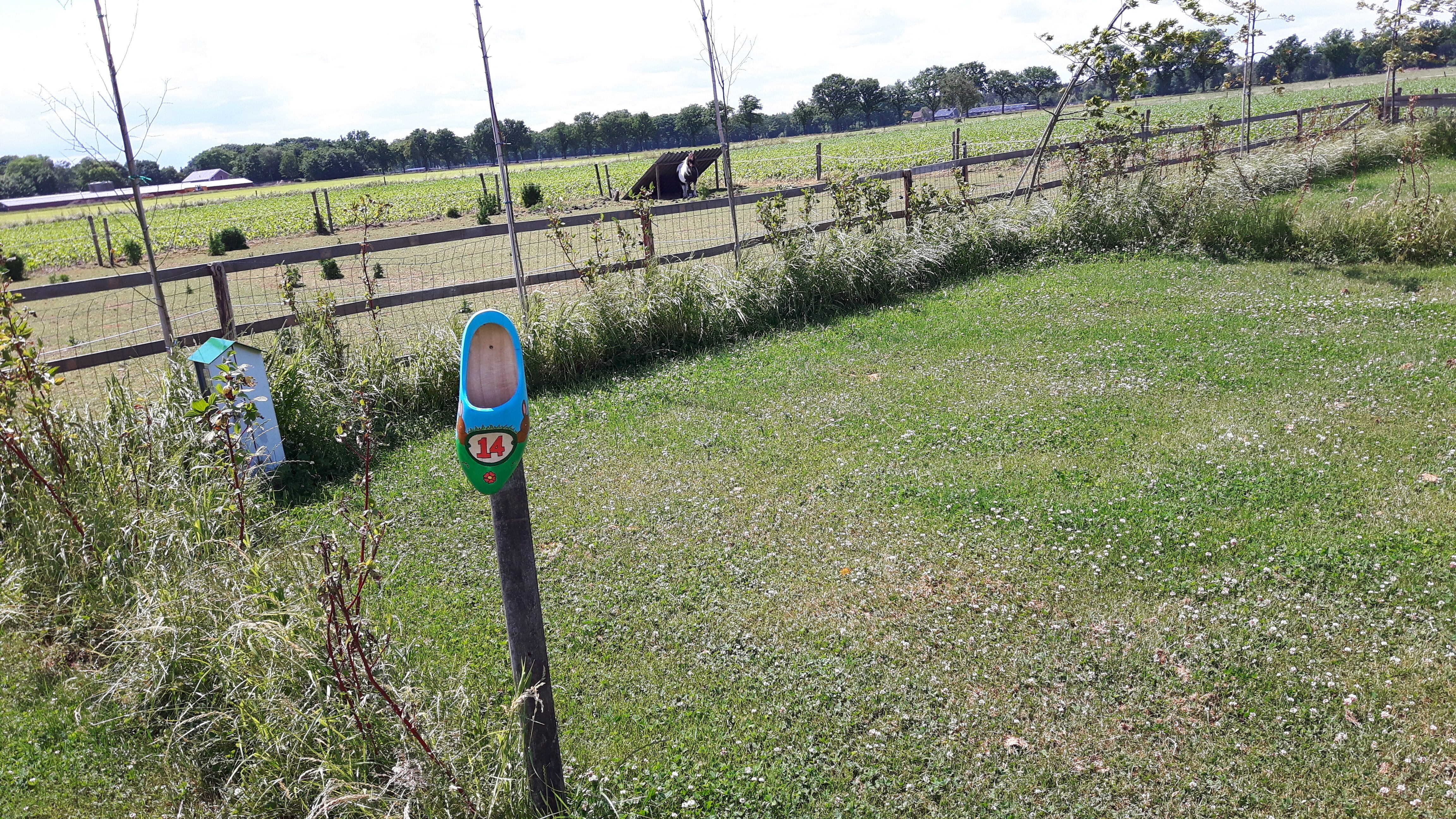 Camping De Somerweij