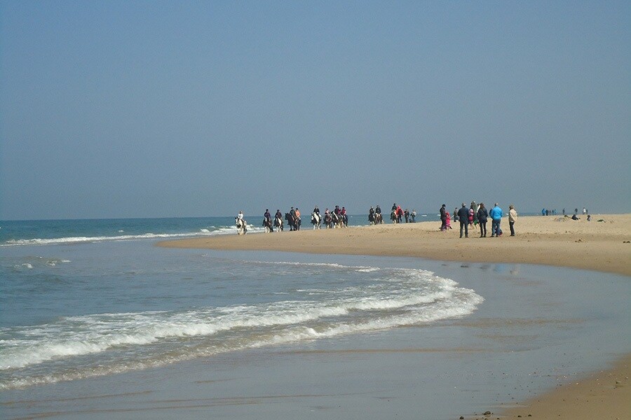 Minicamping Dorpszicht