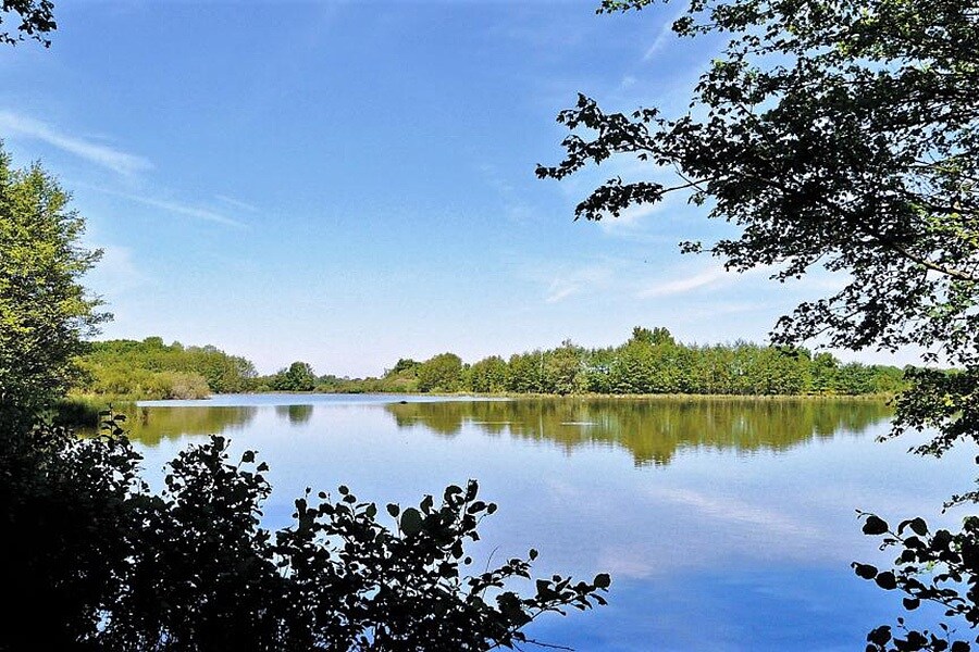 Camping Paradis des Dombes