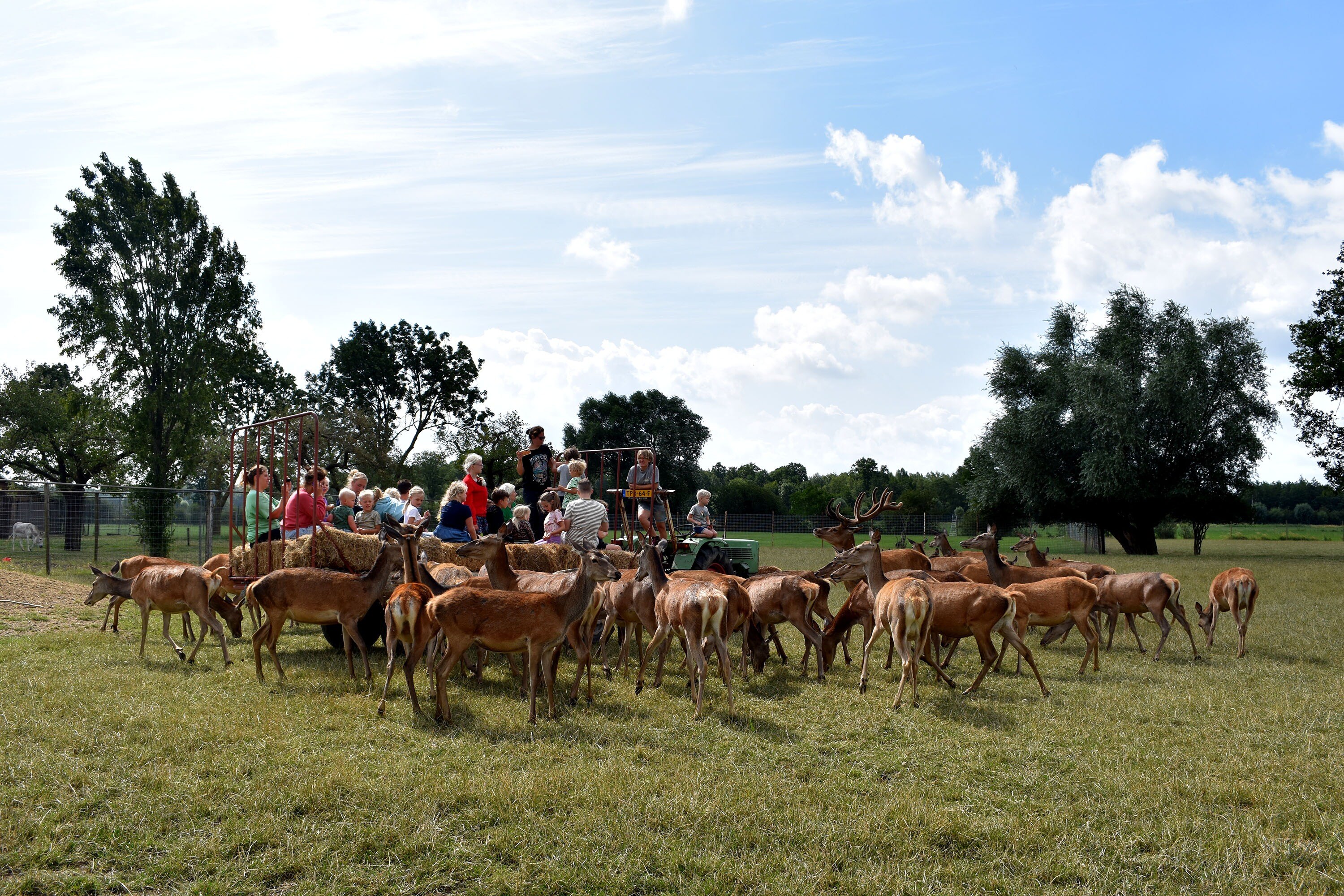 Recreatie- & Hertenboerderij De Weerd