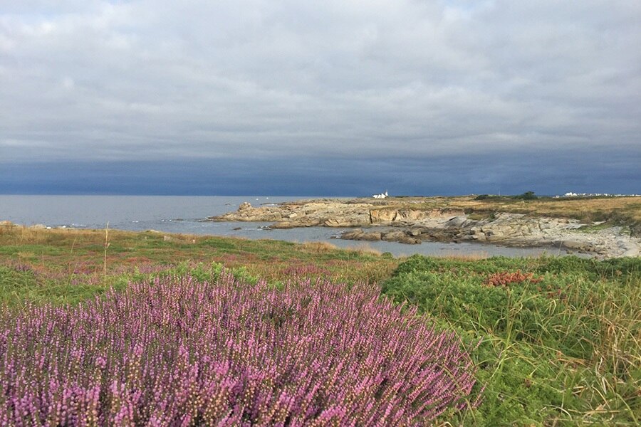 Flower Camping de La Pointe du Talud