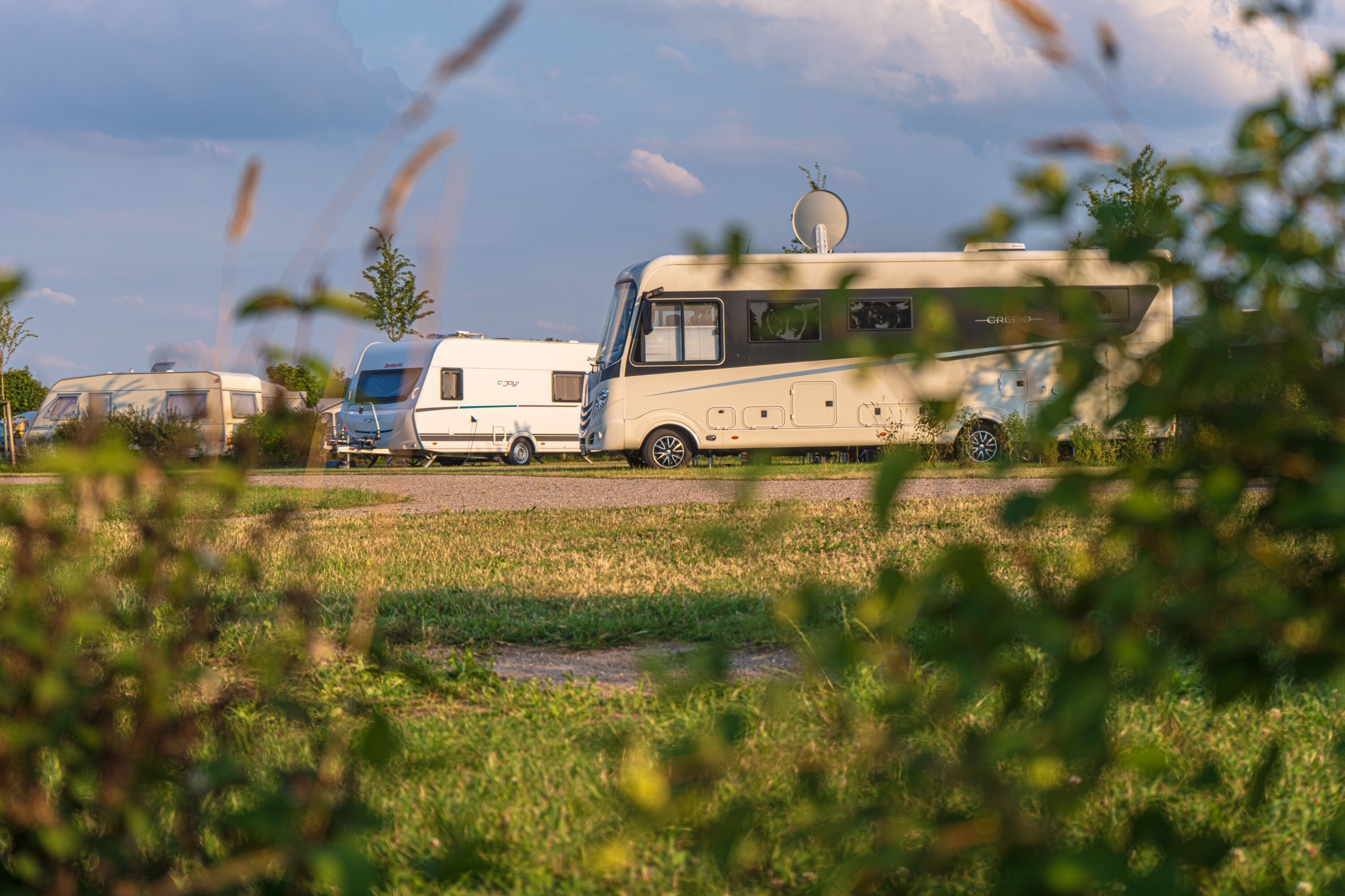 Seeweide Naturcamping Penzlin