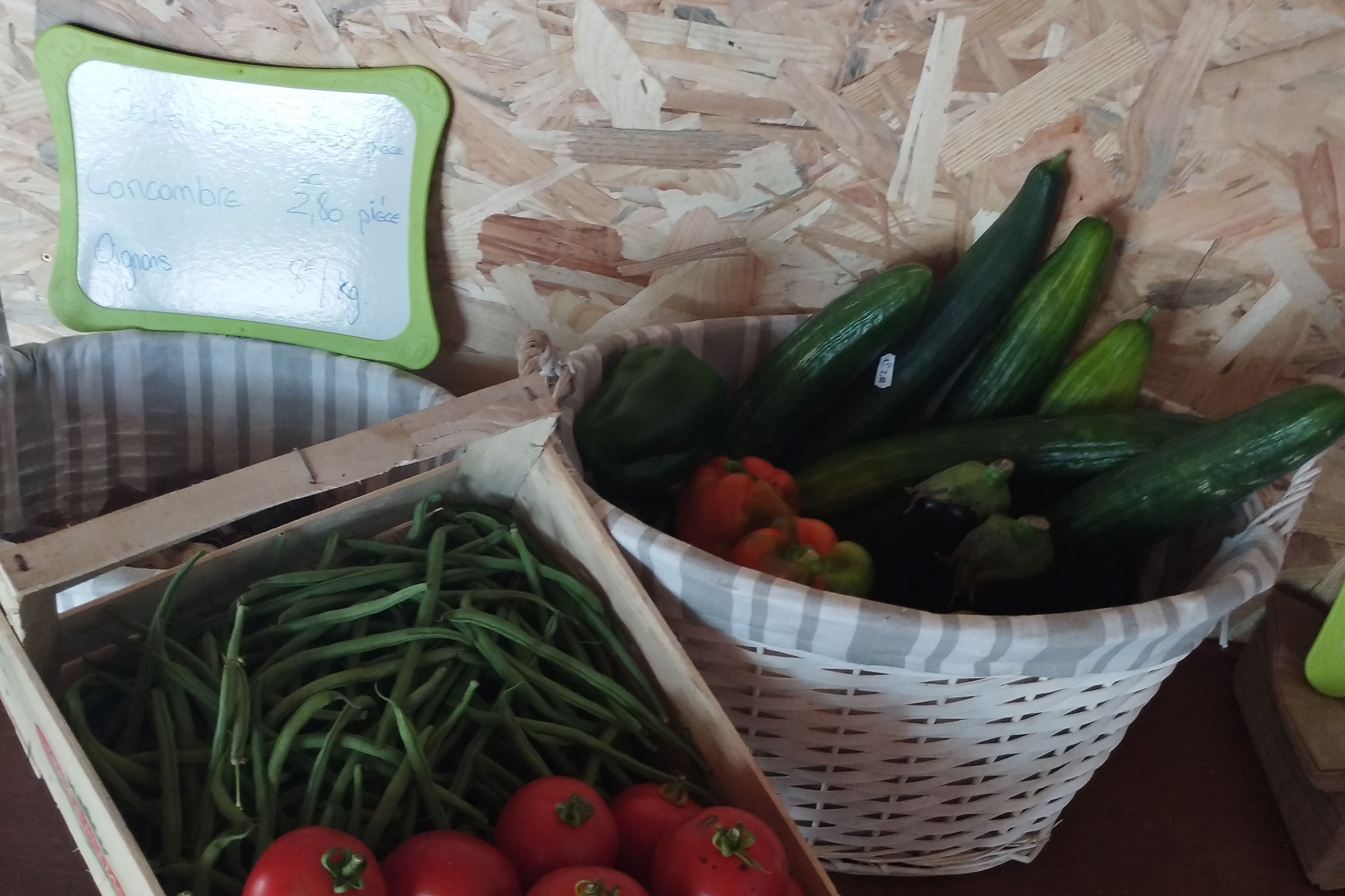 Camping Le Parc du Château