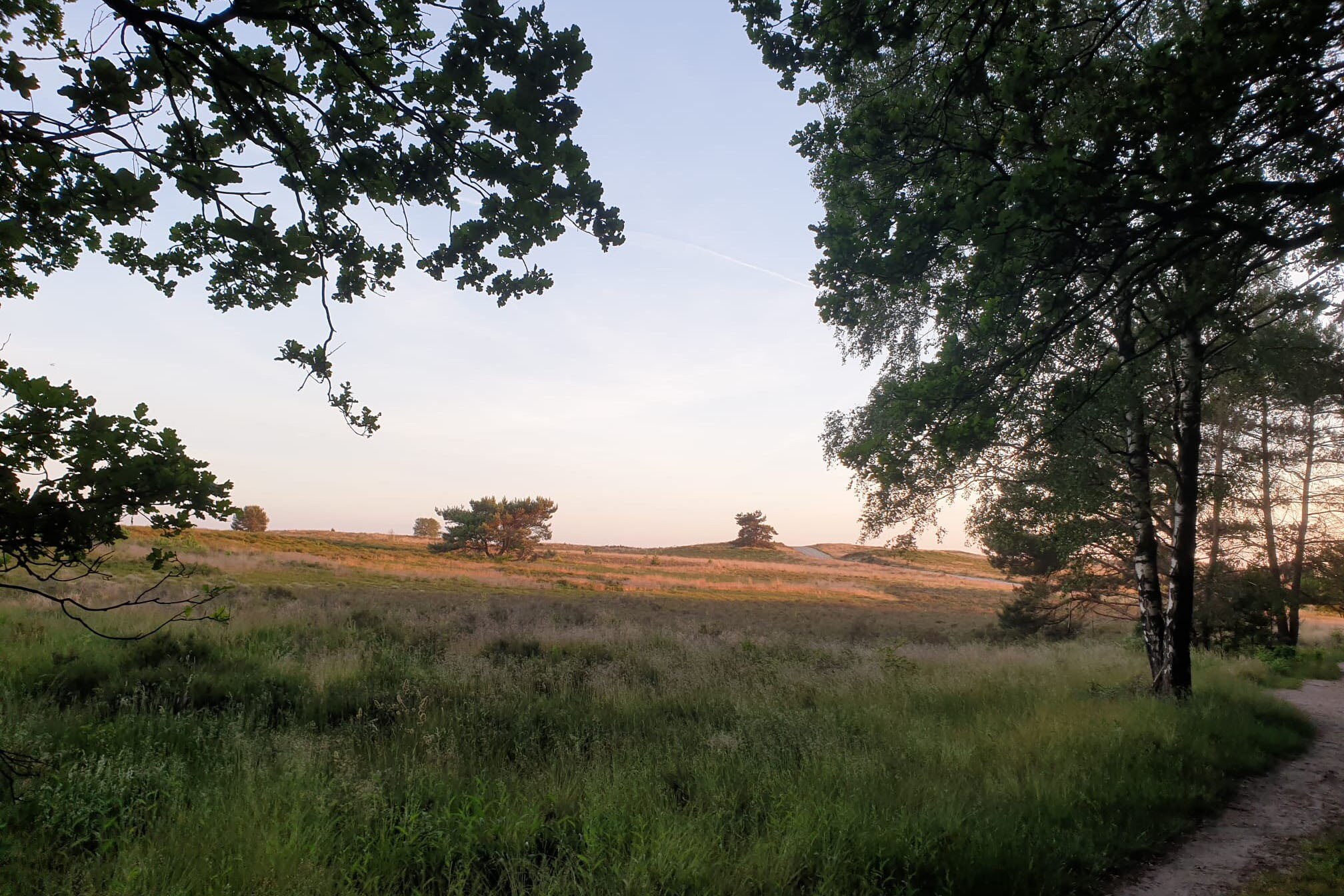 Heidepark Veluwschkarakter