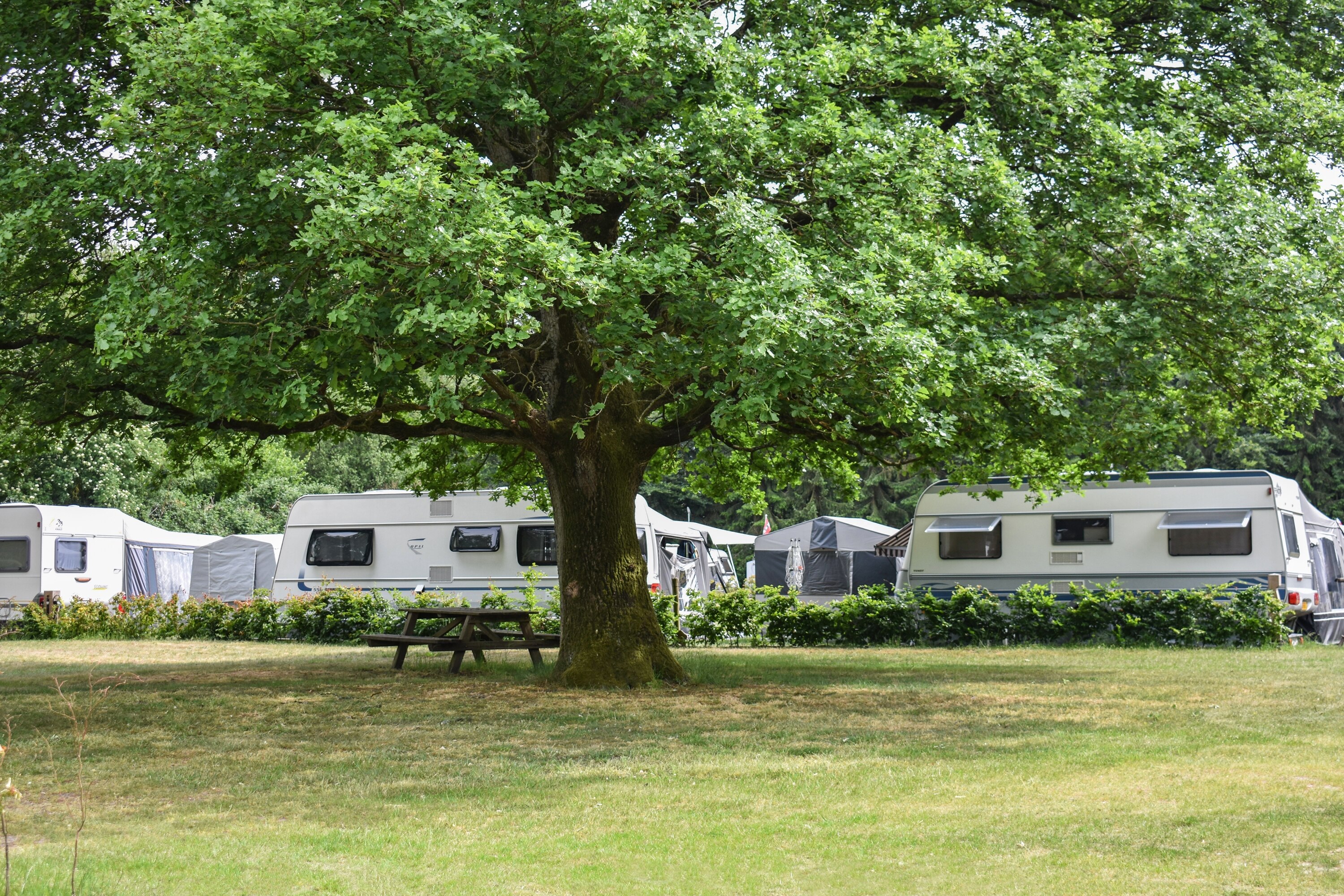 Heidepark Veluwschkarakter